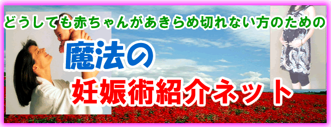 �ǂ����Ă��Ԃ���񂪗~�������̂��߂̏��Љ�l�b�g